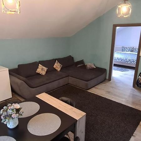 Comfort Home Apartment 3 เปโตรชานิ ภายนอก รูปภาพ