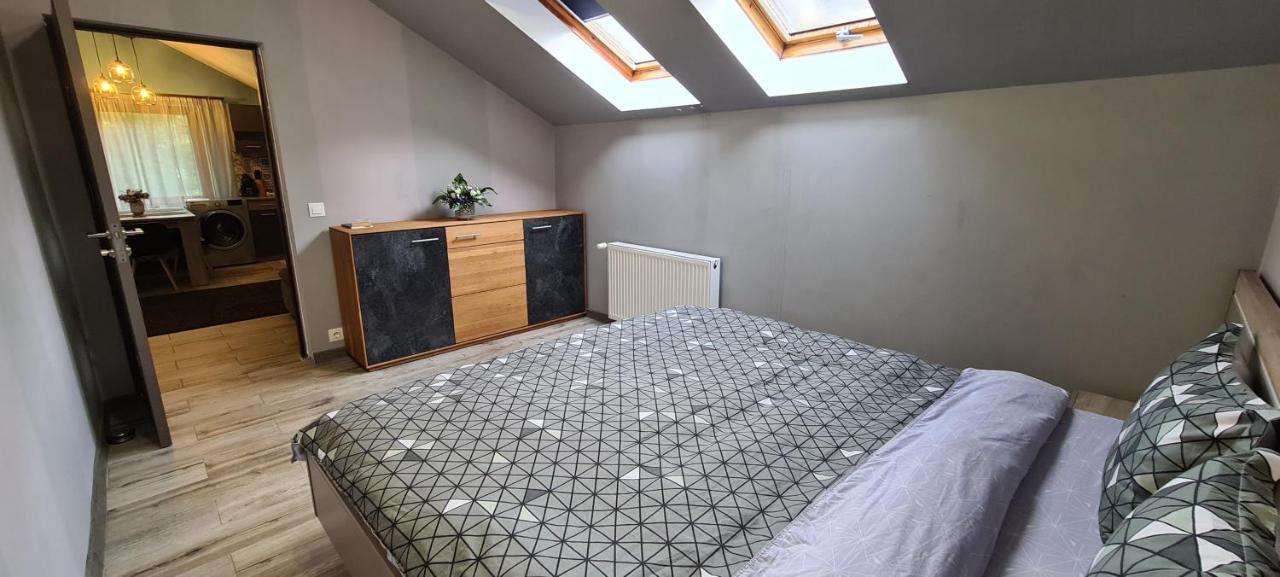 Comfort Home Apartment 3 เปโตรชานิ ภายนอก รูปภาพ